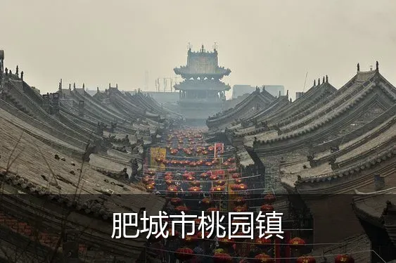 肥城市桃园镇